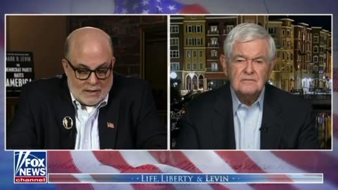 Newt Gingrich - "They couldn't care less about the law..."