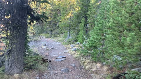 Central Oregon – Paulina Lake “Grand Loop” – In the Alpine Zone – 4K