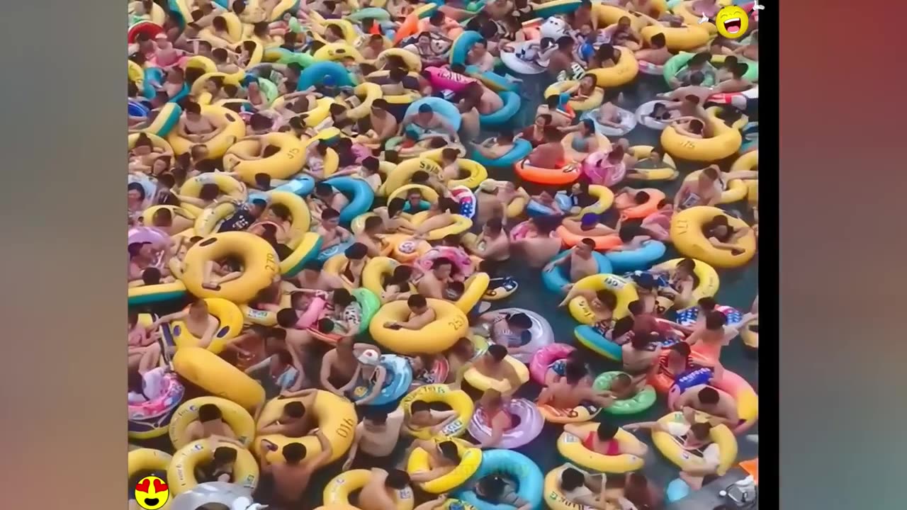 Funny videos