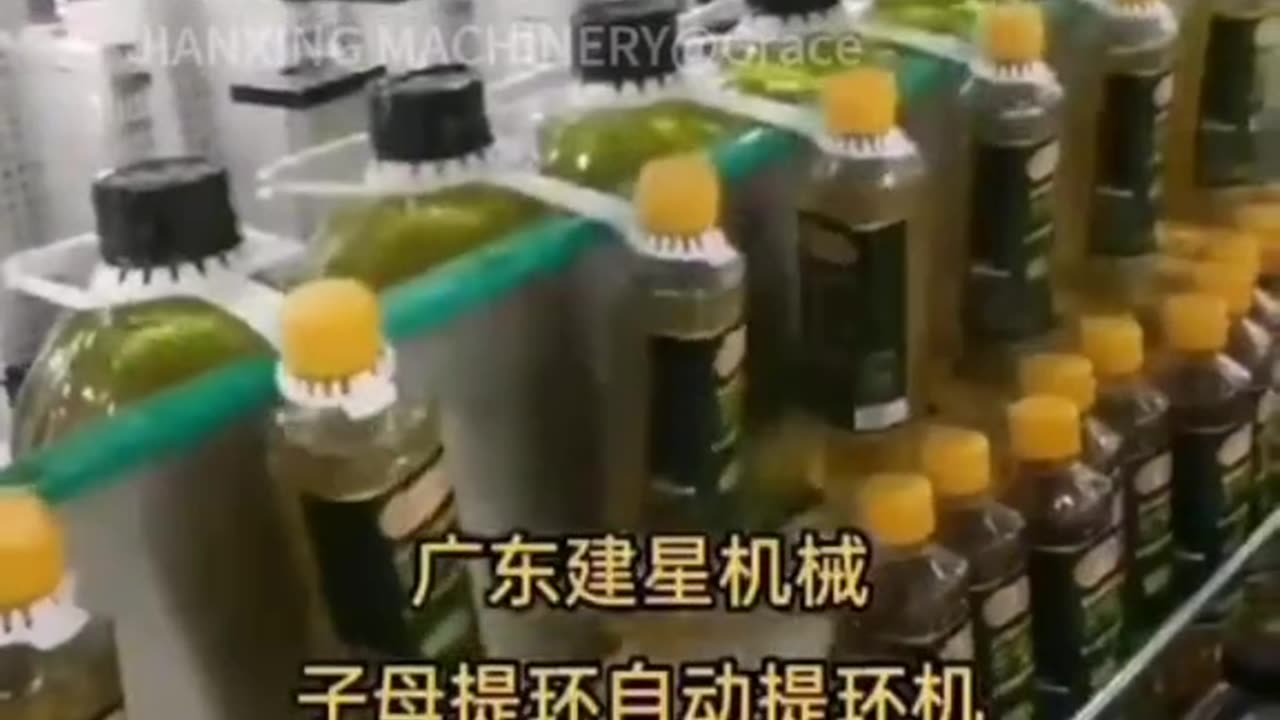 Bottle handle ring inserting machine