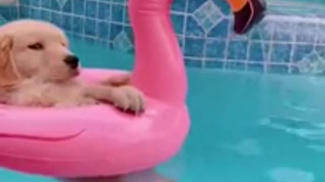 From friday on chill