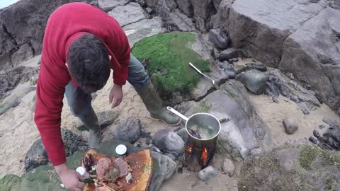 A great day foraging and wild cooking on a Pembrokeshire beach