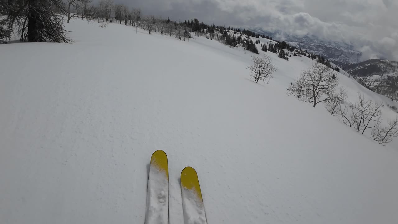 3/23 #9 breaking trail out to Mary's boundary