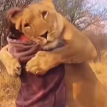 When birds approach humans