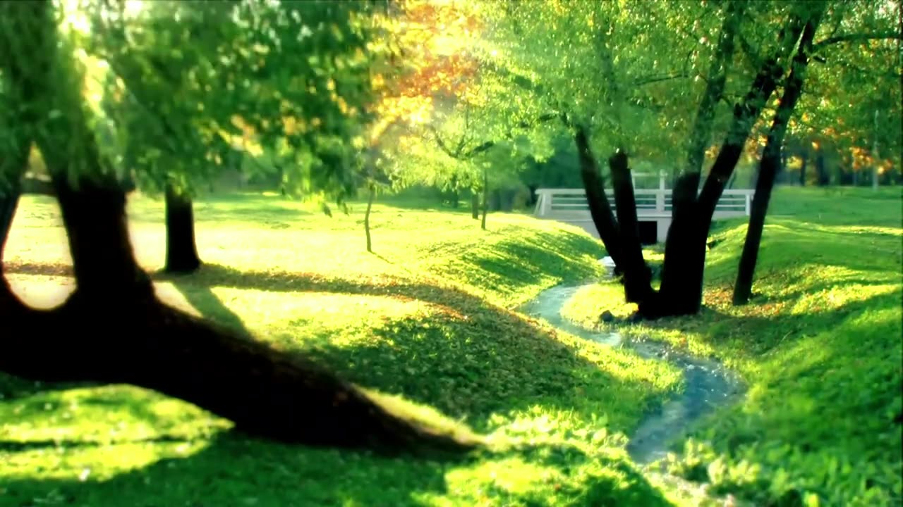 Beautiful Nature | Landscape | Background Video