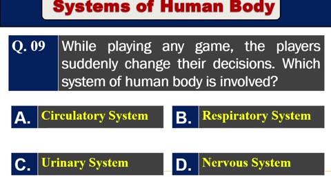 Nervous System