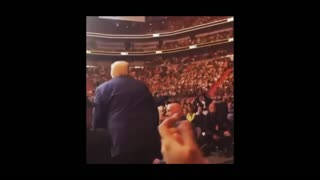 Trump attends UFC 287