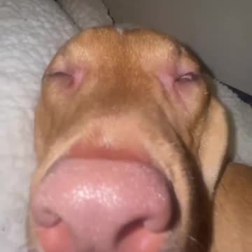 me !!! After returning from work !!