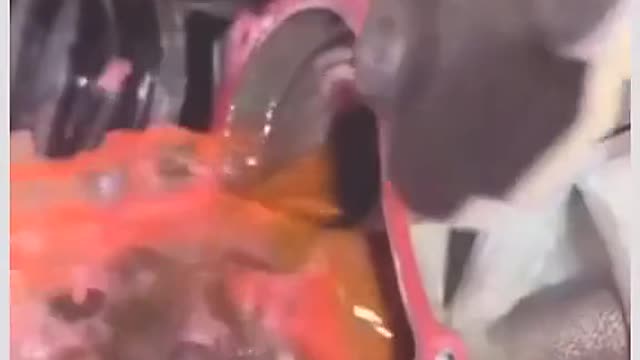 Disassembly of engine accessories