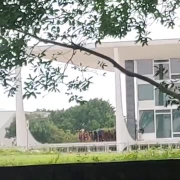 Indigenous people from different tribes protest outside the Brazilian Supreme Court
