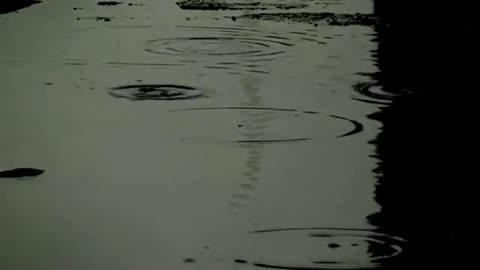 Vangelis ~ My Face In The Rain
