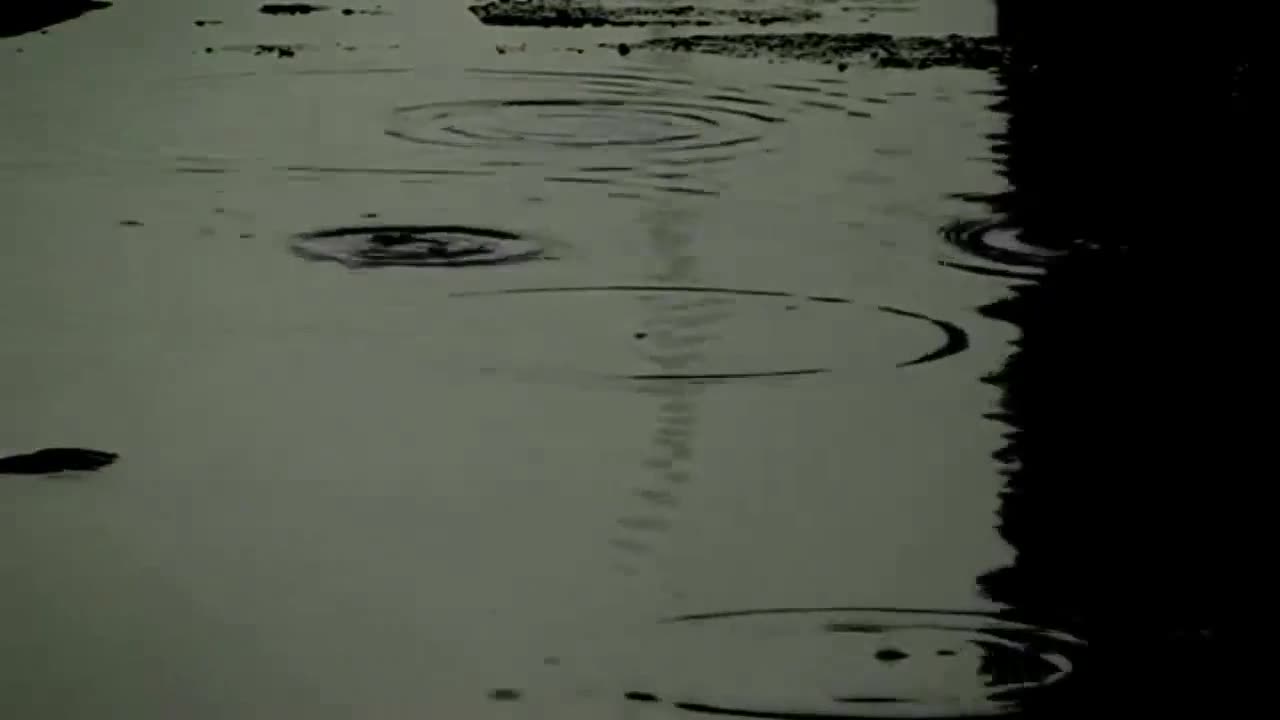 Vangelis ~ My Face In The Rain