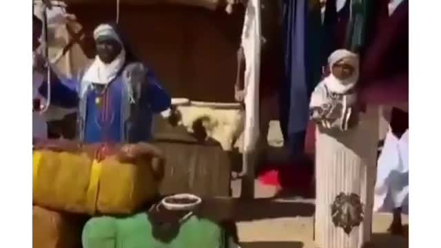 ايام الجاهلية في الوقت الحاضربلمسة عربية مميزة