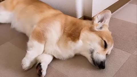 All i can do today is sleep today