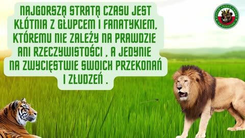 B E Z K O M E N T R Z A !!!