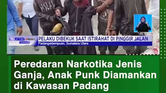 Circulation of Cannabis-type narcotics, punk boy secured in field area