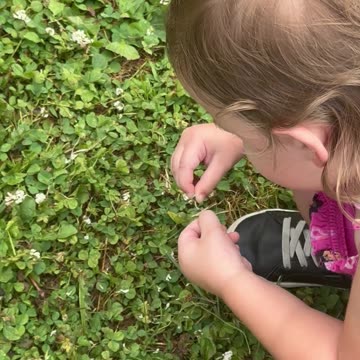 Remember when you did this? he/she loves me, he/she loves me not.