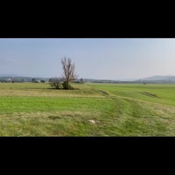 Freedom Cash Geocaching Paper Wallet - wild land