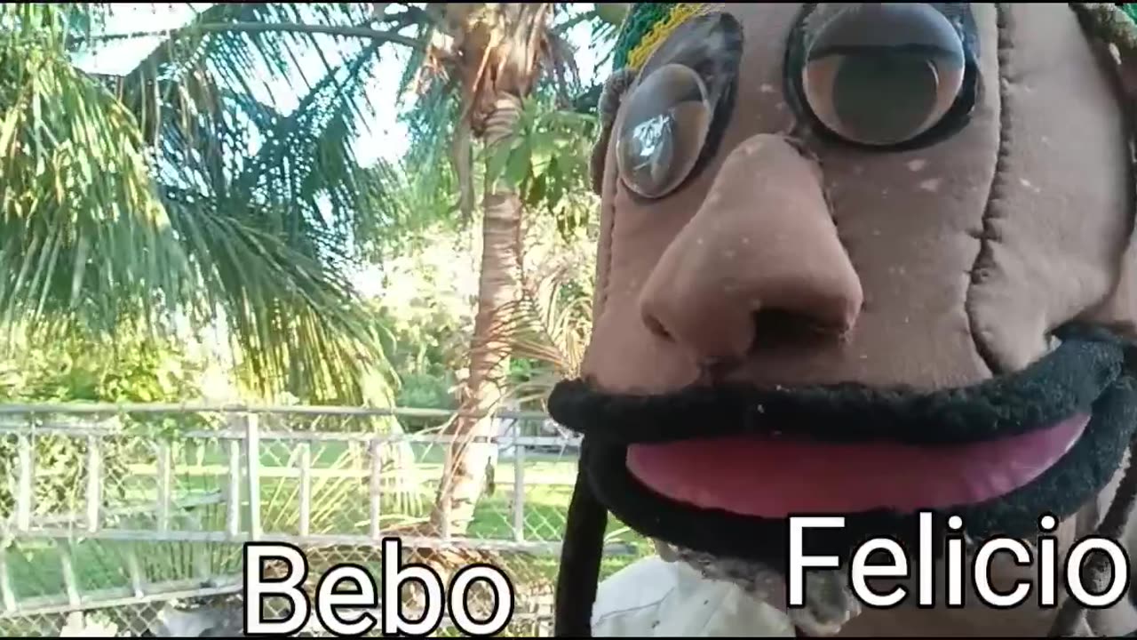 Bebo y Felicio