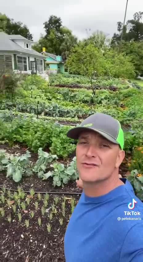 Légy önellátó / Be self-sufficient