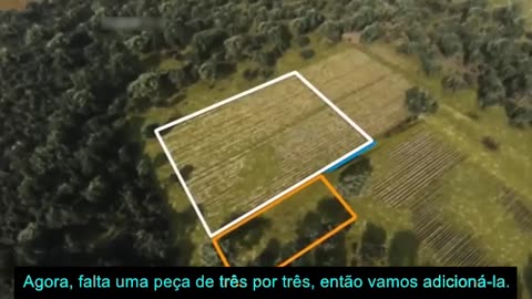 A história da matemática.