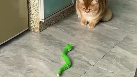 Scared by a fake snake