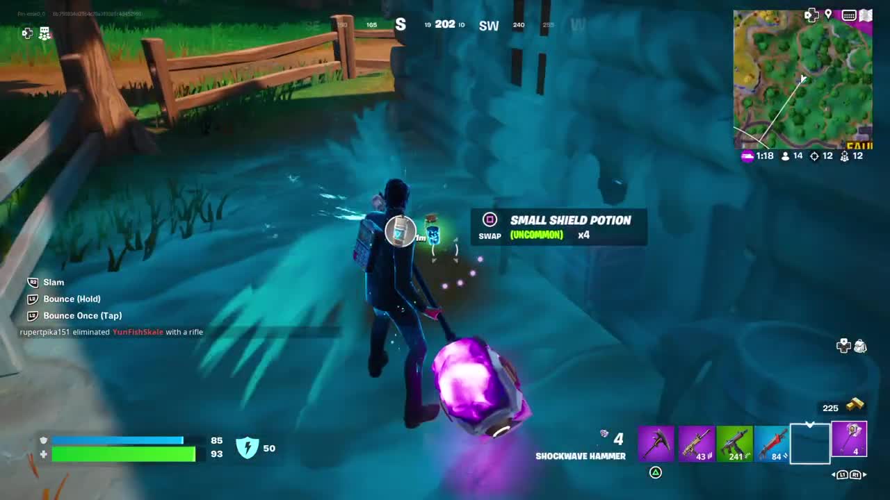 Fortnite 17 Kills