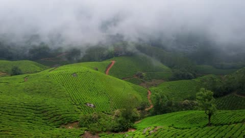 MUNNAR TOURIST PLACE IN KERALA