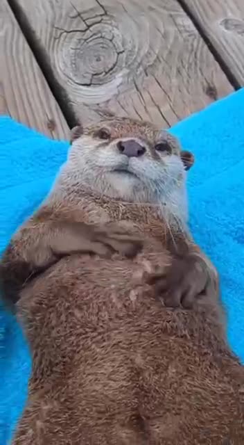 Me at the Caribbean beach resorts 😂