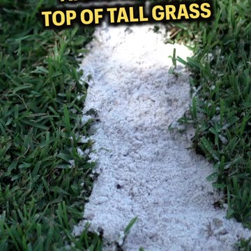 Leveling The Lawn (short version)