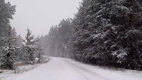 Snow | Winter | Nature | Relaxing | HD Videos | AW CREATION