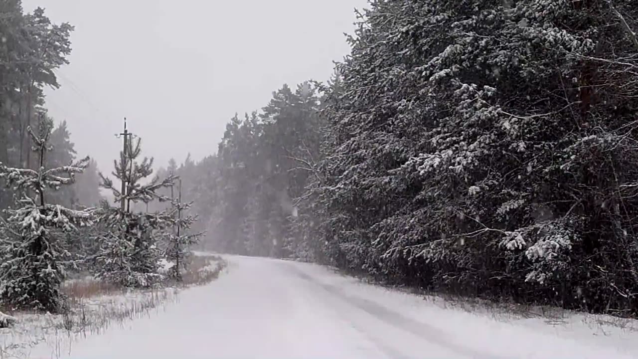 Snow | Winter | Nature | Relaxing | HD Videos | AW CREATION