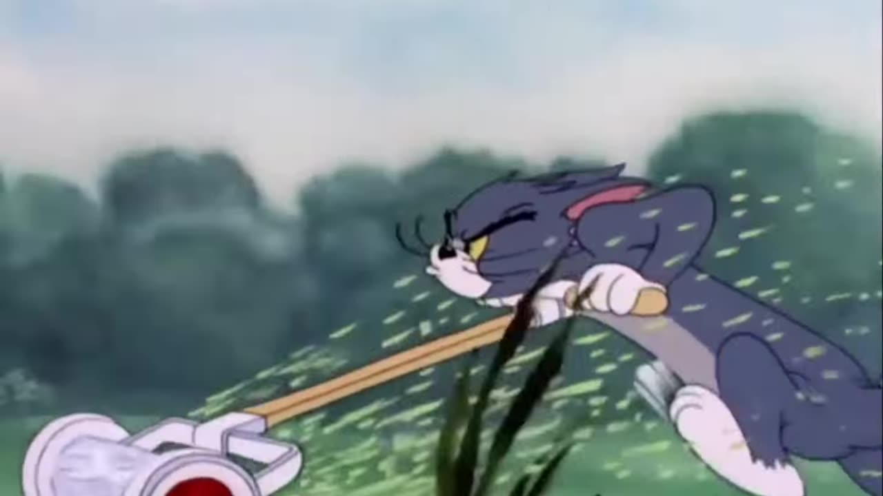 Tom & Jerry | Tom & Jerry in Full Screen | Classic Cartoon Compilation | WB Kids