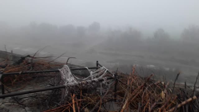 Winter of fog