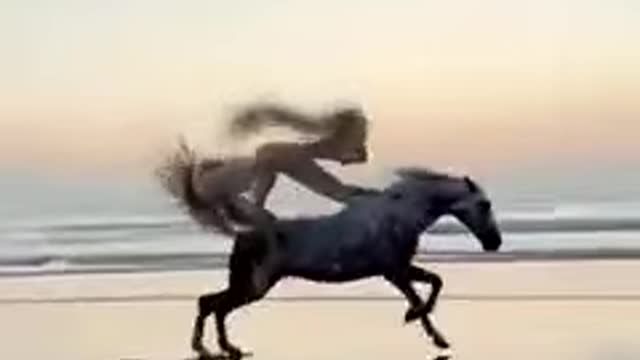 This Horse🔥