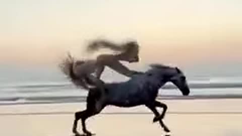 This Horse🔥