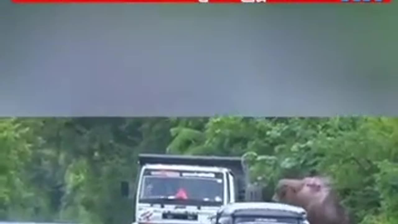 😂😂