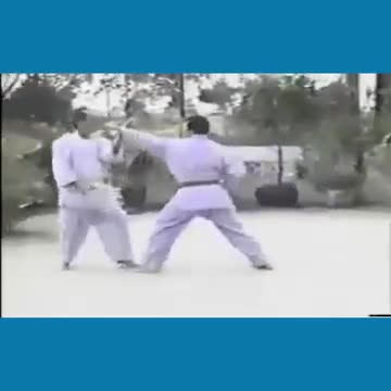 Vovinam