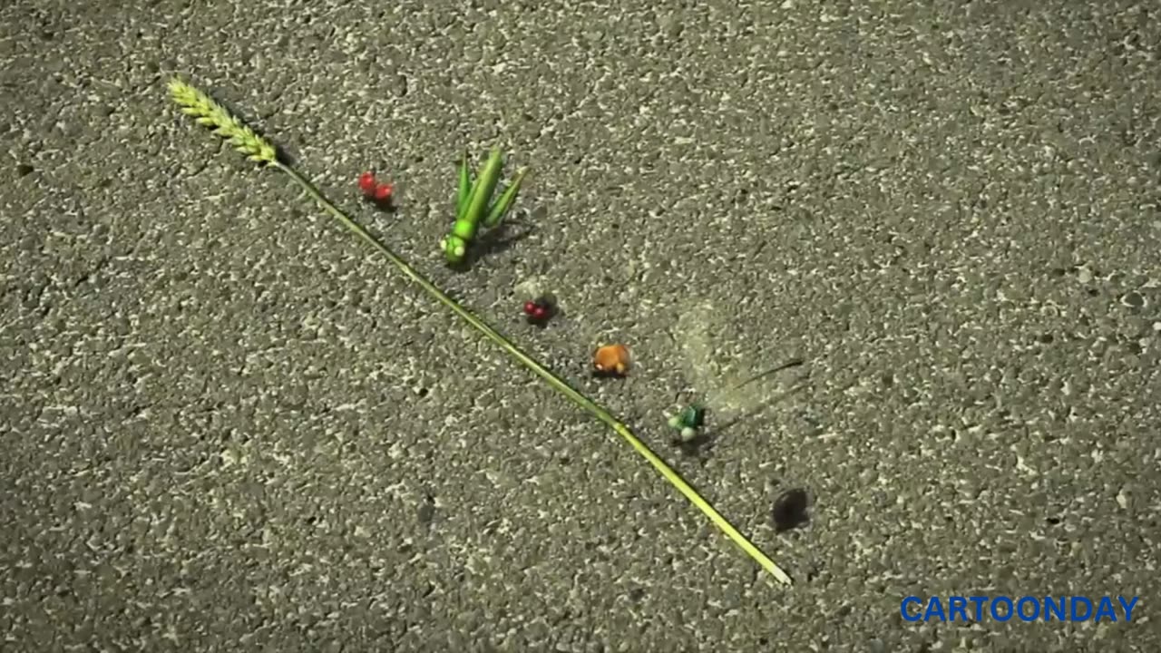 Racing Bugs for KIDS