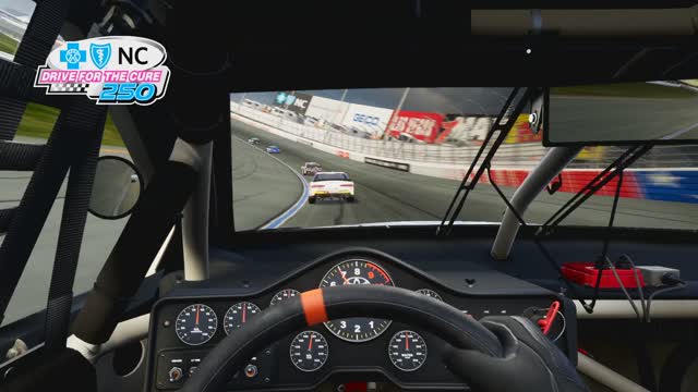 Nascar Heat5 Race447