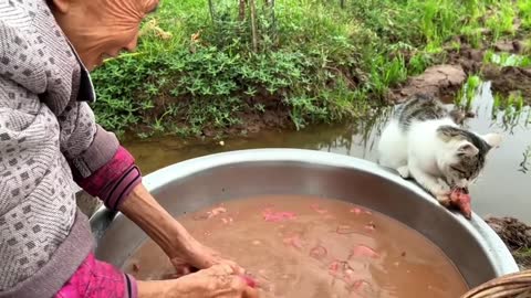 Grandma, I want to eat a sweet potato too 🥰