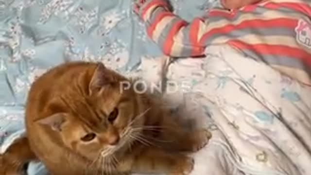 Kitty Massages Sleepy Child,