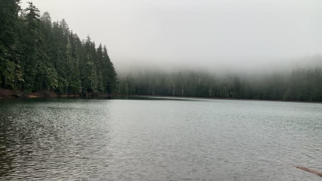 Oregon – Mount Hood National Forest – Lower Twin Lake Shoreline Panorama – 4K