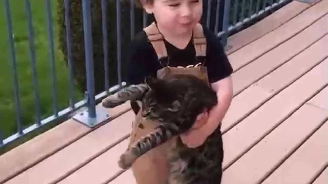 Just a Barn Cat with his Boy