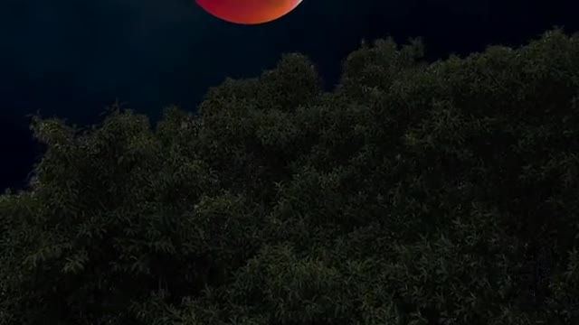 Luna di sangue