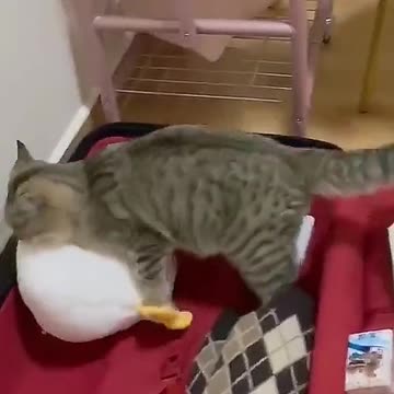 Packing the important stuff always 😂