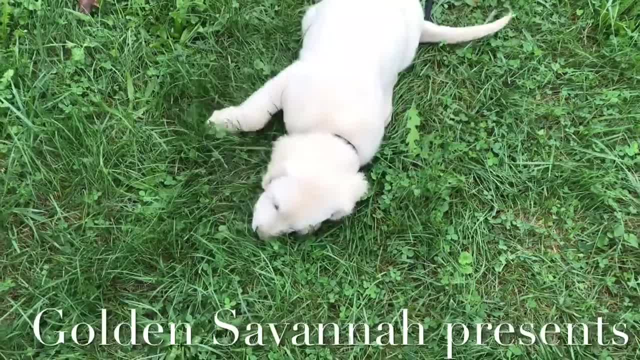 Zoe In Training
