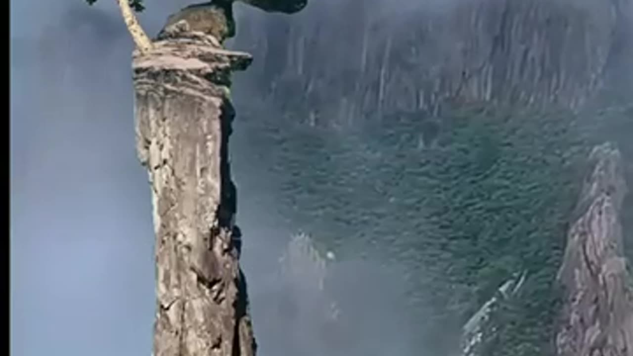 Amezing_videos