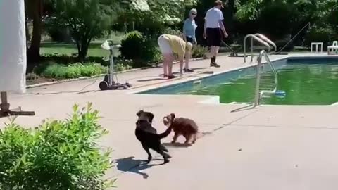 First time in a pool