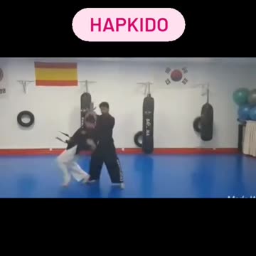 Hapkido